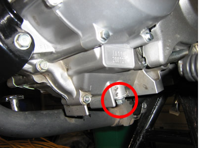 Locate the Oil Drain Plug